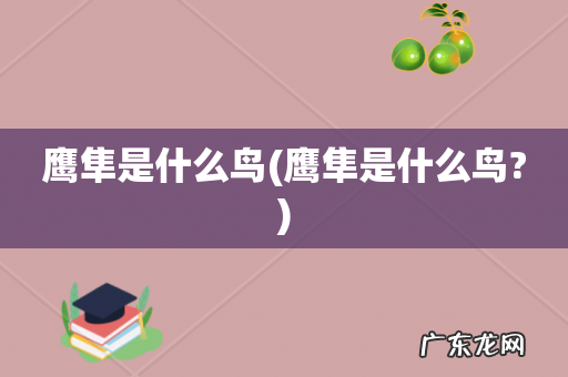 鹰隼是什么鸟? 鹰隼是什么鸟