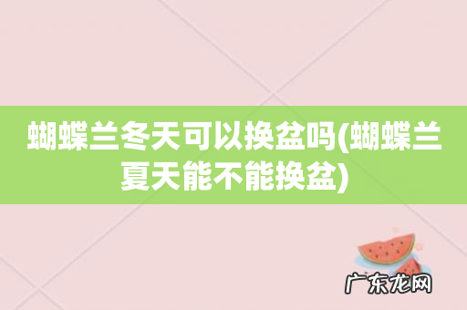 蝴蝶兰夏天能不能换盆 蝴蝶兰冬天可以换盆吗