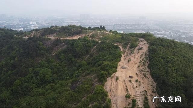 灵游记职业大全介绍 灵游记