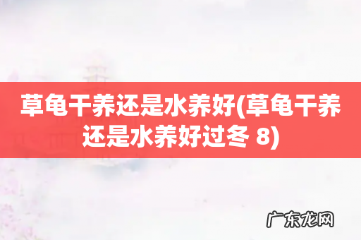 草龟干养还是水养好过冬 8 草龟干养还是水养好