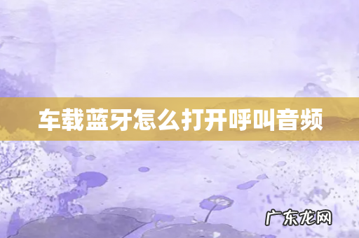 车载蓝牙怎么打开呼叫音频