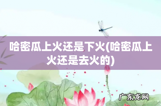 哈密瓜上火还是去火的 哈密瓜上火还是下火