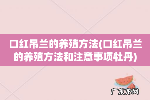 口红吊兰的养殖方法和注意事项牡丹 口红吊兰的养殖方法
