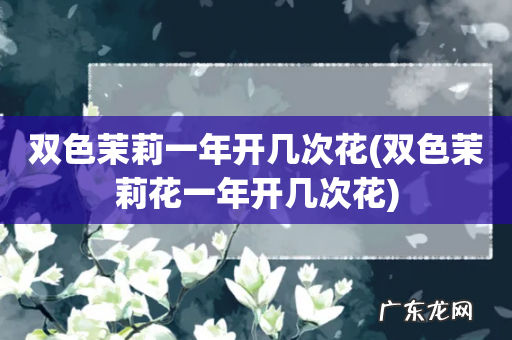 双色茉莉花一年开几次花 双色茉莉一年开几次花