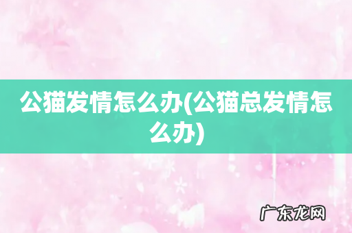 公猫总发情怎么办 公猫发情怎么办