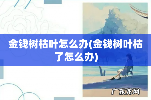 金钱树叶枯了怎么办 金钱树枯叶怎么办