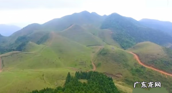 龙的风水作用 龙在风水中有什么讲究