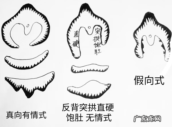 龙的风水作用 龙在风水中有什么讲究