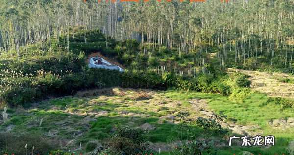龙的风水作用 龙在风水中有什么讲究