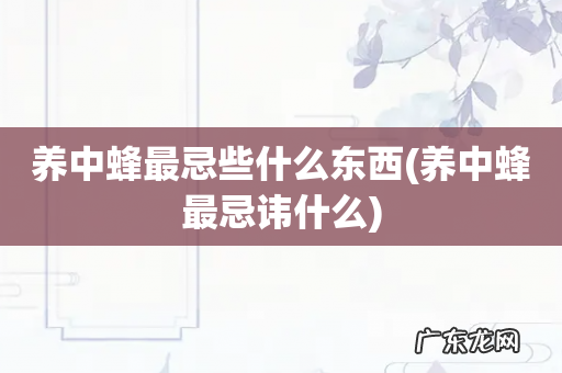 养中蜂最忌讳什么 养中蜂最忌些什么东西