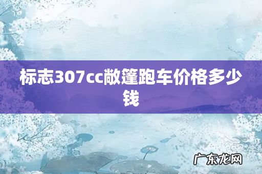 标志307cc敞篷跑车价格多少钱