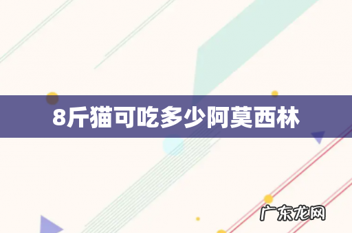 8斤猫可吃多少阿莫西林
