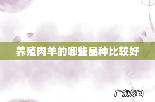 养殖肉羊的哪些品种比较好