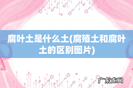 腐殖土和腐叶土的区别图片 腐叶土是什么土