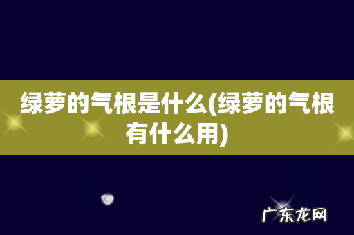 绿萝的气根有什么用 绿萝的气根是什么