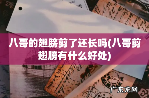 八哥剪翅膀有什么好处 八哥的翅膀剪了还长吗