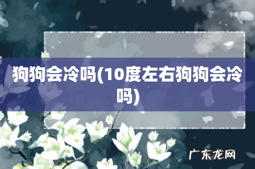 10度左右狗狗会冷吗 狗狗会冷吗