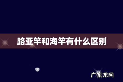 路亚竿和海竿有什么区别