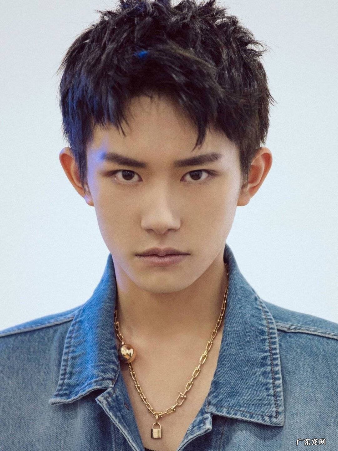 一对双生子 [兄弟]危险双生子