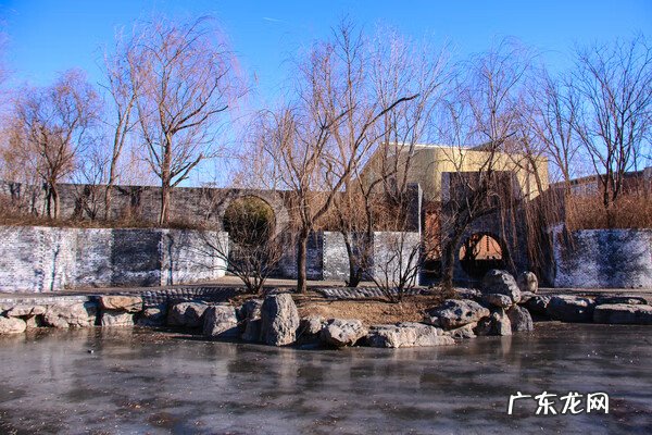门口枯树风水 枯树 风水