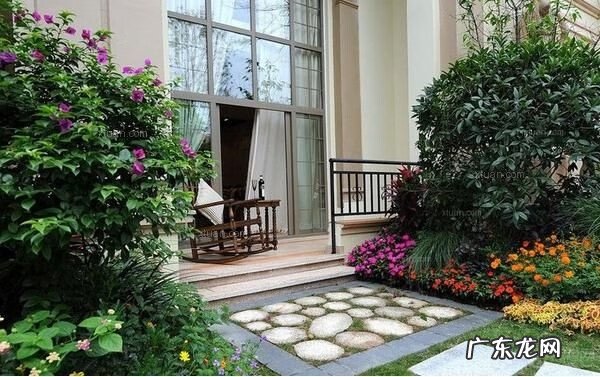 门口枯树风水 枯树 风水