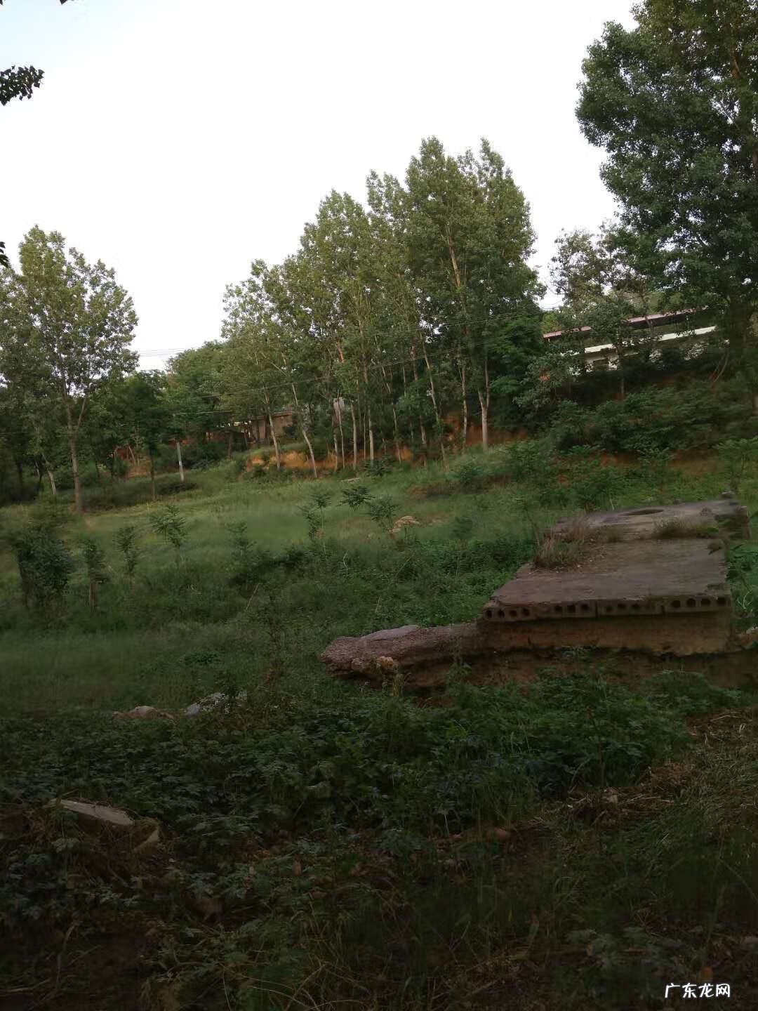 擀面杖风水 擀面杖风水寓意