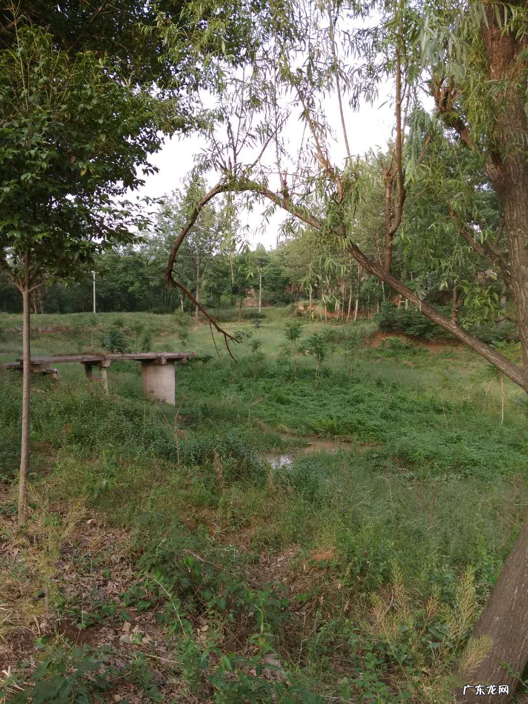 擀面杖风水 擀面杖风水寓意