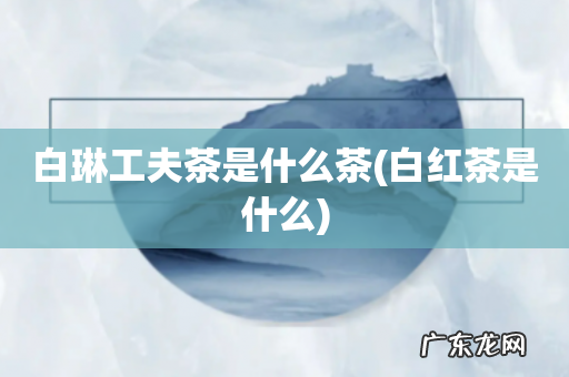 白红茶是什么 白琳工夫茶是什么茶