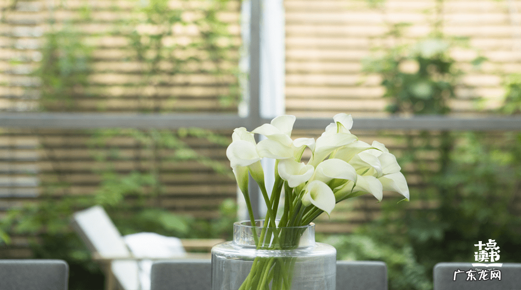 怎样才能情商高 情商