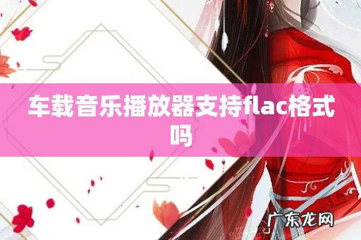 车载音乐播放器支持flac格式吗
