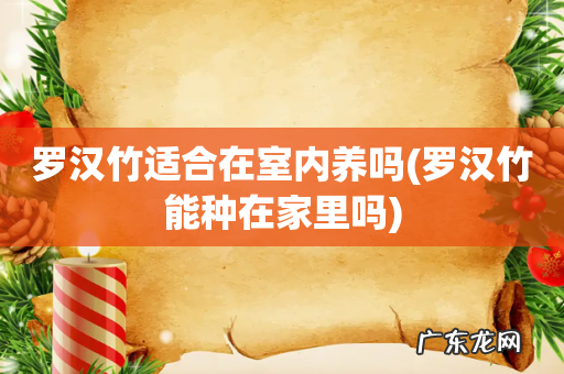 罗汉竹能种在家里吗 罗汉竹适合在室内养吗
