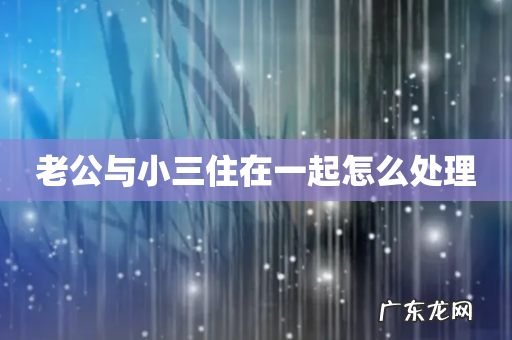 老公与小三住在一起怎么处理