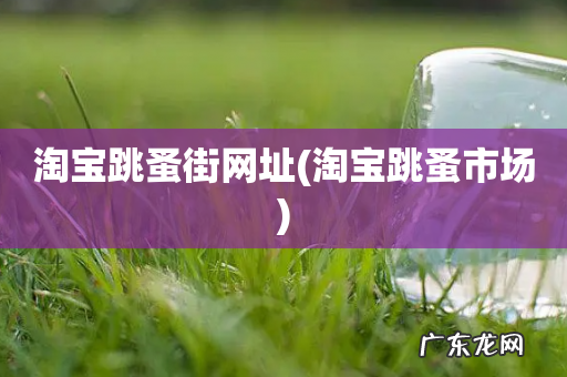 淘宝跳蚤市场 淘宝跳蚤街网址