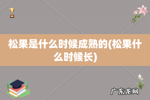 松果什么时候长 松果是什么时候成熟的