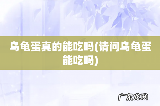 请问乌龟蛋能吃吗 乌龟蛋真的能吃吗