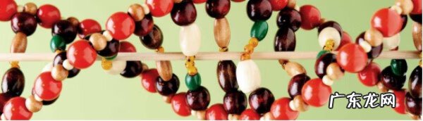 血液dna检测 dna检测