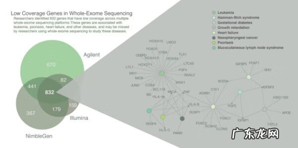 血液dna检测 dna检测