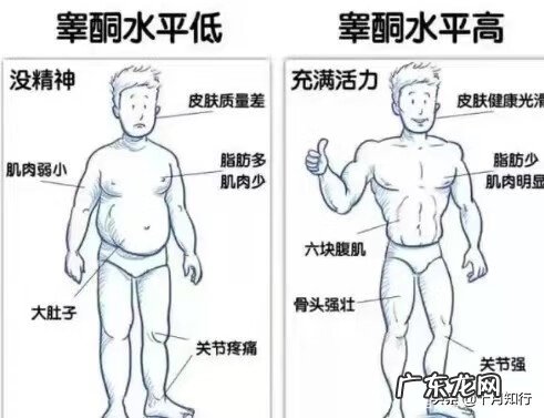 怎么知道自己的睾酮是否正常 睾酮是什么意思