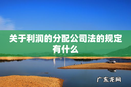 关于利润的分配公司法的规定有什么
