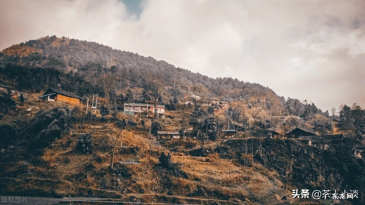 详解冷退日 农历哪天是倒退日