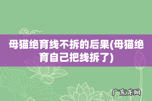 母猫绝育自己把线拆了 母猫绝育线不拆的后果