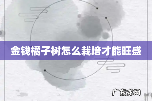 金钱橘子树怎么栽培才能旺盛