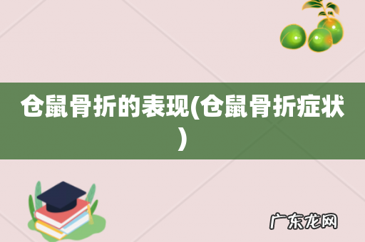 仓鼠骨折症状 仓鼠骨折的表现