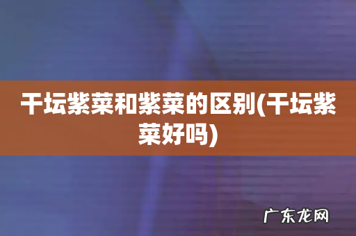干坛紫菜好吗 干坛紫菜和紫菜的区别