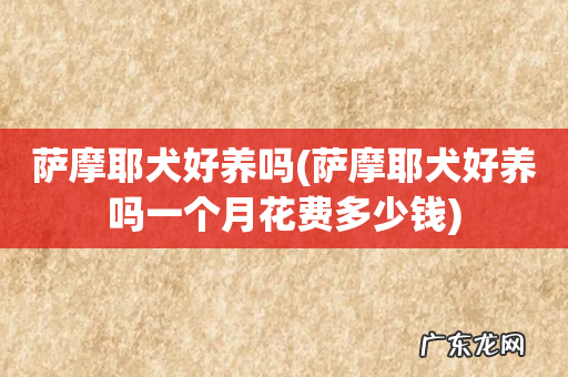 萨摩耶犬好养吗一个月花费多少钱 萨摩耶犬好养吗