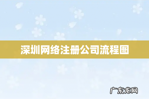 深圳网络注册公司流程图
