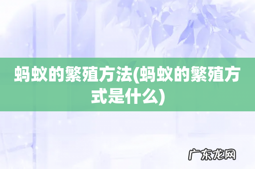 蚂蚁的繁殖方式是什么 蚂蚁的繁殖方法