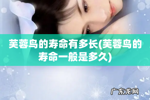 芙蓉鸟的寿命一般是多久 芙蓉鸟的寿命有多长