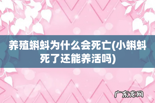 小蝌蚪死了还能养活吗 养殖蝌蚪为什么会死亡