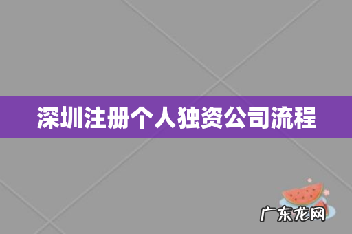 深圳注册个人独资公司流程